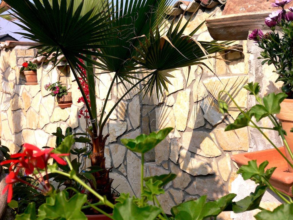 Apartmenthaus Casa Palma ビュール エクステリア 写真